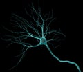 Neuron Royalty Free Stock Photo