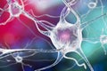 Neuron, brain cell Royalty Free Stock Photo