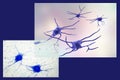 Neuron, brain cell Royalty Free Stock Photo