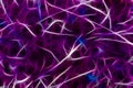 Neuron brain cells background Royalty Free Stock Photo