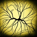 Neuron With Branches, Black On Pale Backdrop