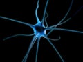 Neuron cell