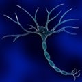 Neuron Cell Royalty Free Stock Photo