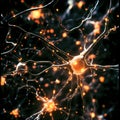 Neuronal Network Activity