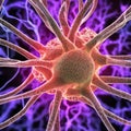 Neuron cell network model. Generative AI Royalty Free Stock Photo