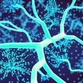 Neuron cell network model. Generative AI Royalty Free Stock Photo