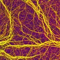 Neuron cell network model. Generative AI Royalty Free Stock Photo