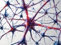 Neuron cell or Neuron cell in colour background Royalty Free Stock Photo