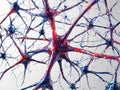 Neuron cell or Neuron cell in colour background