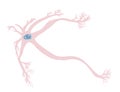 Neuron cells. Vector simple design illustartion Royalty Free Stock Photo