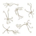 Neuron cells. Vector simple design illustartion Royalty Free Stock Photo