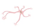 Neuron cells. Vector simple design illustartion Royalty Free Stock Photo