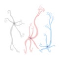 Neuron cells. Vector simple design illustartion Royalty Free Stock Photo