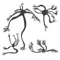 Neuron cells. Vector simple design illustartion Royalty Free Stock Photo