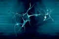 Neuron in colour background