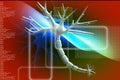 Neuron Royalty Free Stock Photo