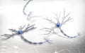Neuron Royalty Free Stock Photo