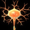 Neuron Royalty Free Stock Photo