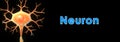 Neuron Royalty Free Stock Photo