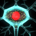 Neuron Royalty Free Stock Photo