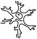 Neuron hand drawn sketch vector doodle illustration