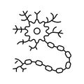 neuron human line icon vector illustration