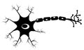 Neuron Icon On White Background. Human Neuron Cell Sign. Brain Neuron Symbol. Flat Style