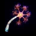 Neuron that is the main part of the nervous system. Royalty Free Stock Photo