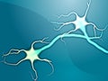 Neuron nerve cells Royalty Free Stock Photo