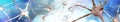 Neuron, neural network, nerve node,