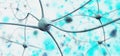 Neuron, neural network, nerve node,