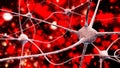 Neuron, neural network, nerve node,