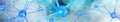 Neuron, neural network, nerve node,