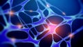 Human Neuron structure and Anatomy science background. Exploring Neurons brain and Synapse. Artificial neurons Scientific