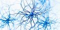 Neuron Synapse Connection - Microscopic View of Neural Network