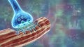 Neuron Synapse Transmitting Chemical Signals for Brain Function Royalty Free Stock Photo