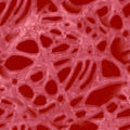 Neuron Texture. Chaotic Texture. Neuron Anatomy Texture. Funky Ornate Pattern. Fantasy Fractal Print. Blood Vessel System Art.