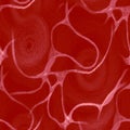 Neuron Texture. Network Fractal Print. Neuron Anatomy Texture. Medical Spiral Pattern. Geometric Swirled Background. Blood Vessel