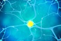Neuron with yellow nucleus inside. 3d illustration of a high quality