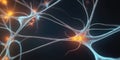 Neuronal activity in the brain