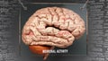 Neuronal activity in human brain