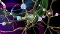 Intranuclear inclusion in neurons of Dorsal striatum, 3D illustration