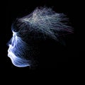 Neuronal interconnections, brain and communication. Mind and thought. Neurons and electrical impulses