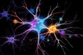 Neuronal learning, 3d neurons, neural brain cognitive abilities, Neurons in the brain fire in synchrony, deep concentration focus