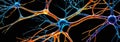 Neuronal Network Close-up