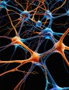 Neuronal Network Closeup