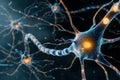 Neuronal network with electrical activity of neuron cells Royalty Free Stock Photo
