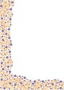 Neuronal pattern border