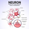 neuronal structure and signal transmission, medical poster Royalty Free Stock Photo