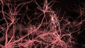 Neurone synapse network. Flight through brain. 3D animation.